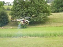 mike_ DSC00363.jpg