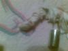 post-9418-1380086940,1488_thumb.jpg