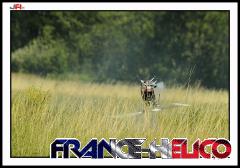 Coupe_3D_france_2011(3eme_manche_et_final._Francin)-newpepito-10260.jpg