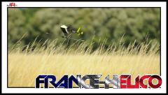Coupe_3D_france_2011(3eme_manche_et_final._Francin)-newpepito-10264.jpg
