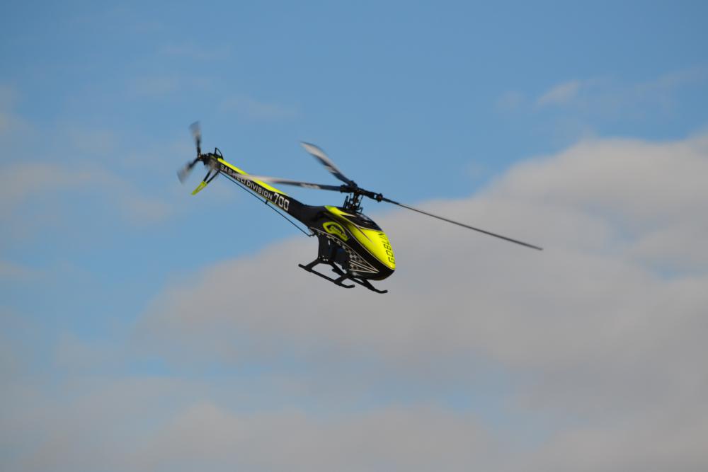 DSC_0437.JPG