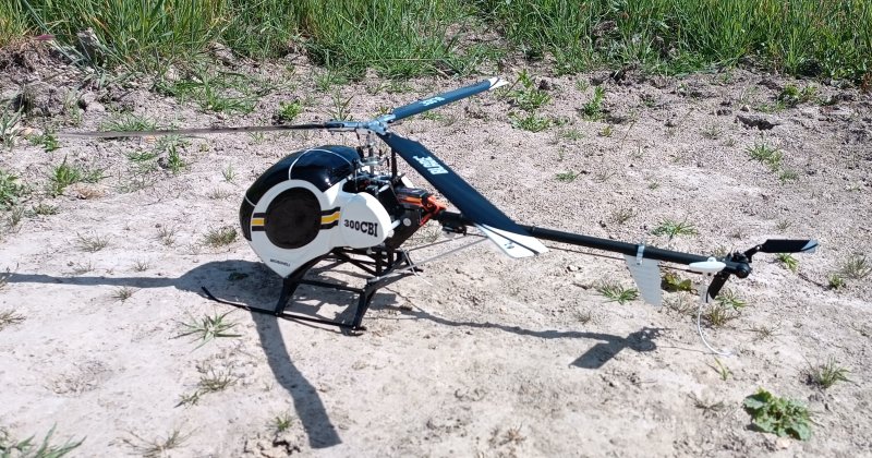 schweizer035.jpg.cf67726cba78a46d4dbd3dc00c765665.jpg