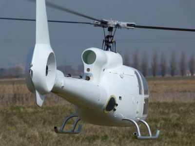 1er vol gazelle (2).JPG