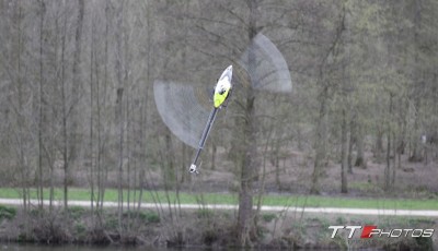 IMG_8886.JPG