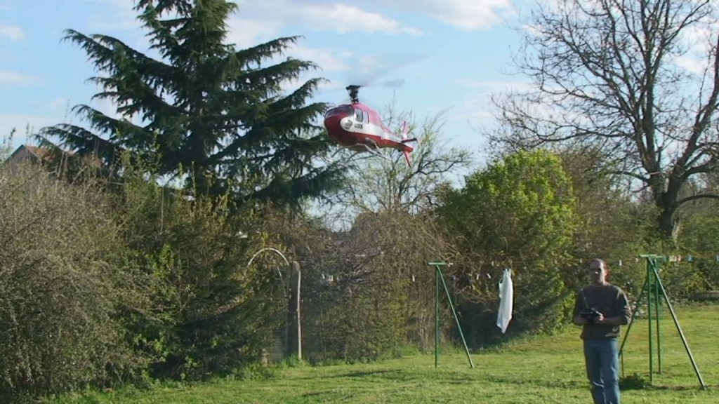 lola DSC00027
