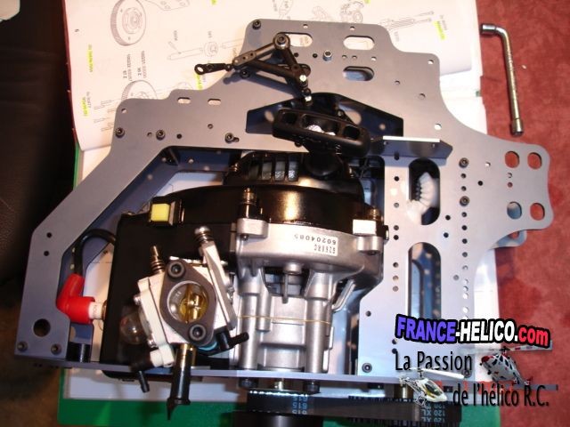 MANTA MANTA MANTA DSC07038