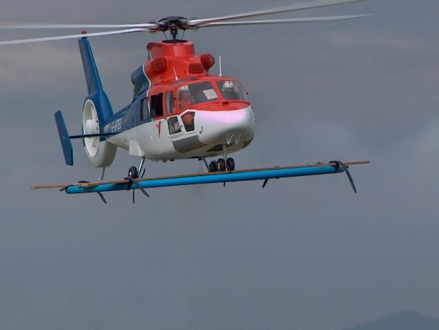 papyboy dauphin quadri cerceau 2