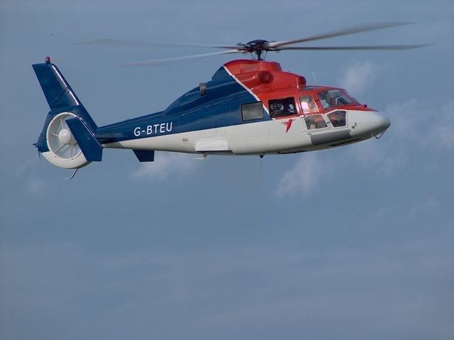 papyboy dauphin quadri cote droit