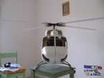 yorkmoute nfi 022