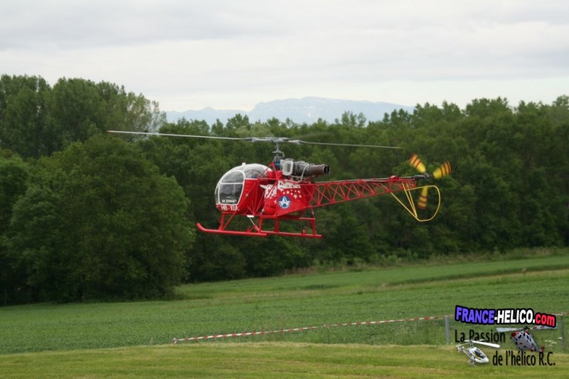  crbst img 2812