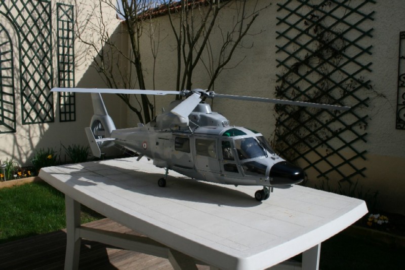 heliph51 IMG 2966