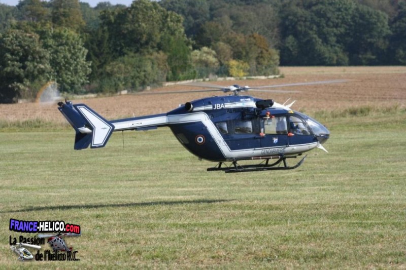 jpg IMG 1701