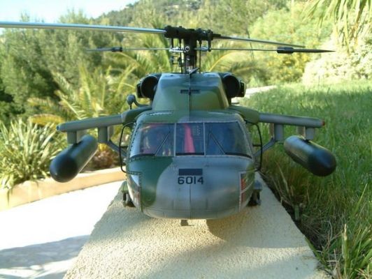 normal pave 7