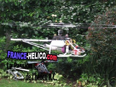 tanguy t img 4917 175