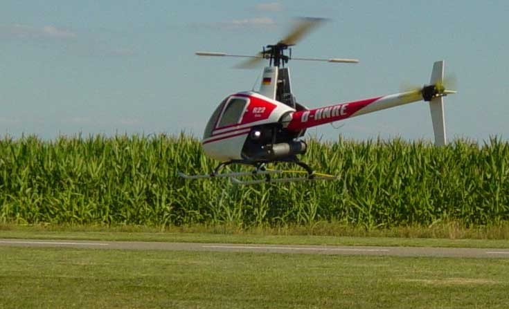vautour-fauve helico R22 00 web