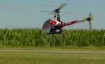 vautour-fauve helico R22 00 web