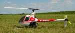 vautour-fauve helico R22 01 web