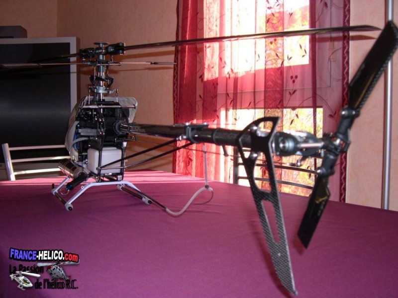 nounours130 TREX 600N PRO 016
