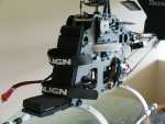 bowen IMG 2657