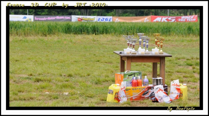 france 3D cup 519-border