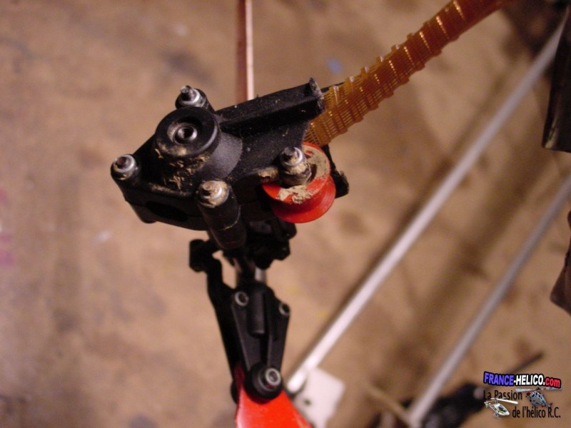 X-Clone DSC06439