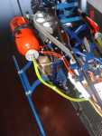 X-Clone Zyclone Wren 03