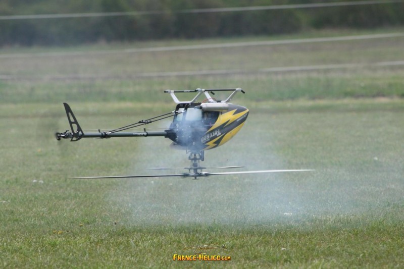pierrotscorpion senlis 091