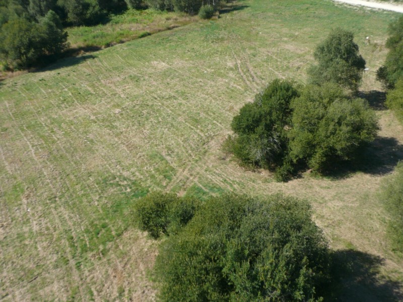 photo aerienne avec raptor 50 ther appareil numerique 12m pix