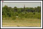  DSC0350-border