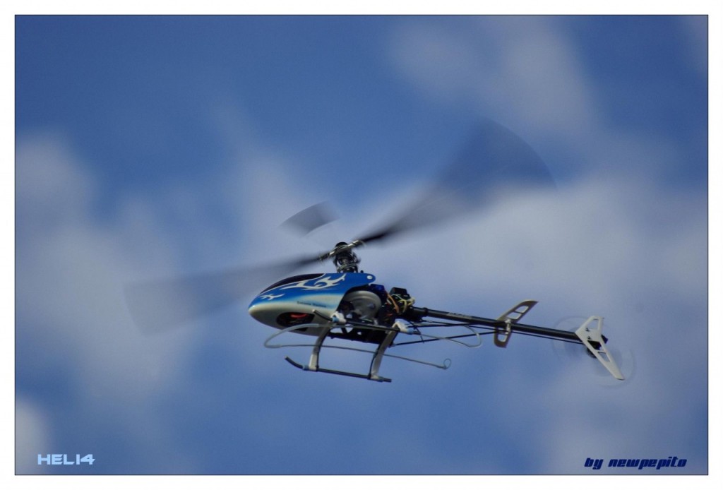 Poulpe Poulpe Poulpe rasso heli4 bessan 533-border
