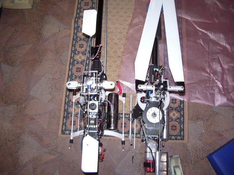 3dmp vs Rappy50 01