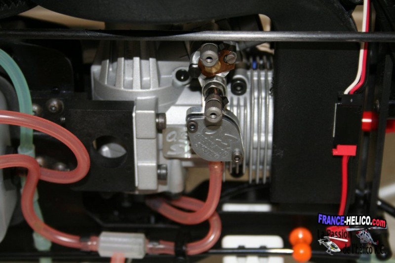  IMG 1329modif
