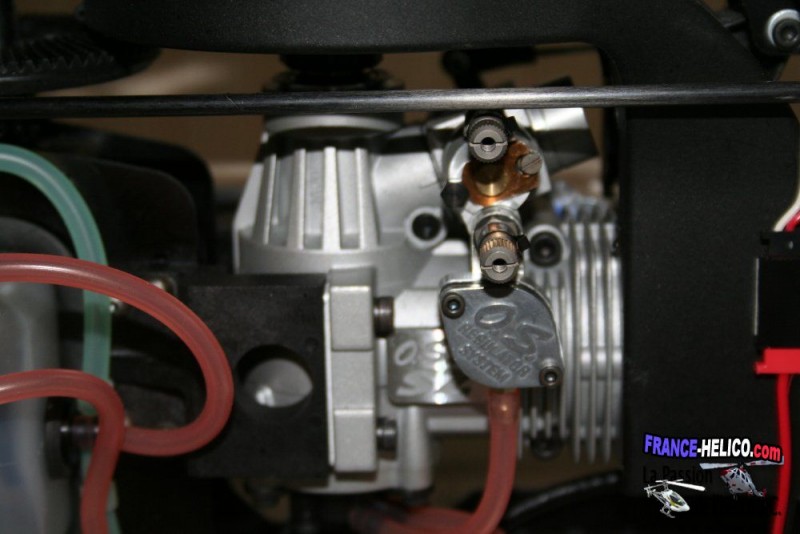  IMG 1338modif