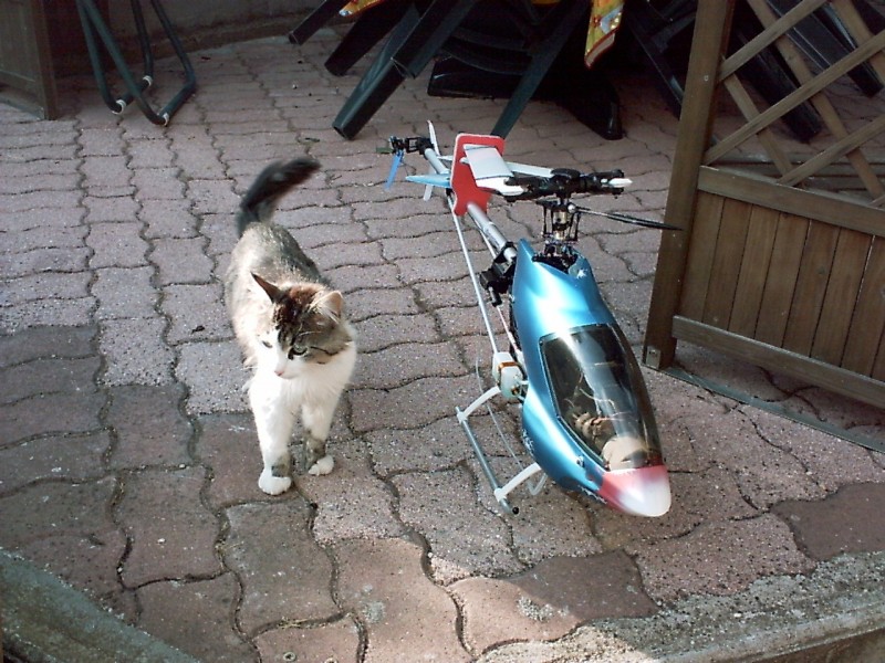  PICT0013