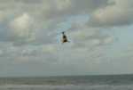 acalex A la plage