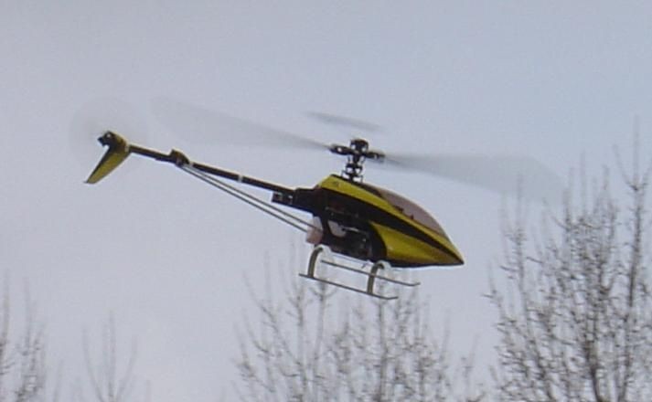 acalex Raptor