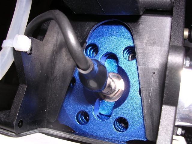 Buzzz raptor 30 + 50 detail. 008