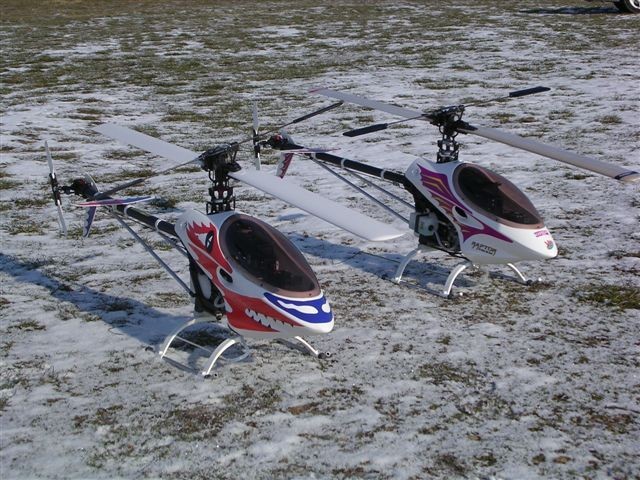 Buzzz raptor 30 + 50 terrain 002