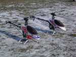Buzzz raptor 30 + 50 terrain 002