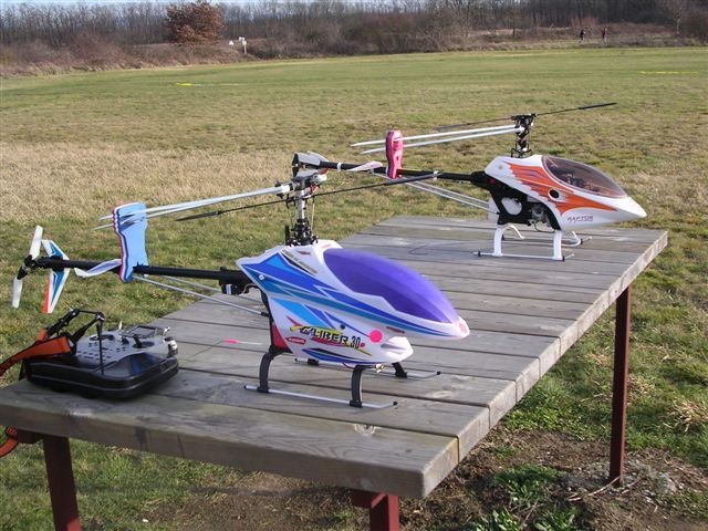 Buzzz terrain 08.01.05 004~2