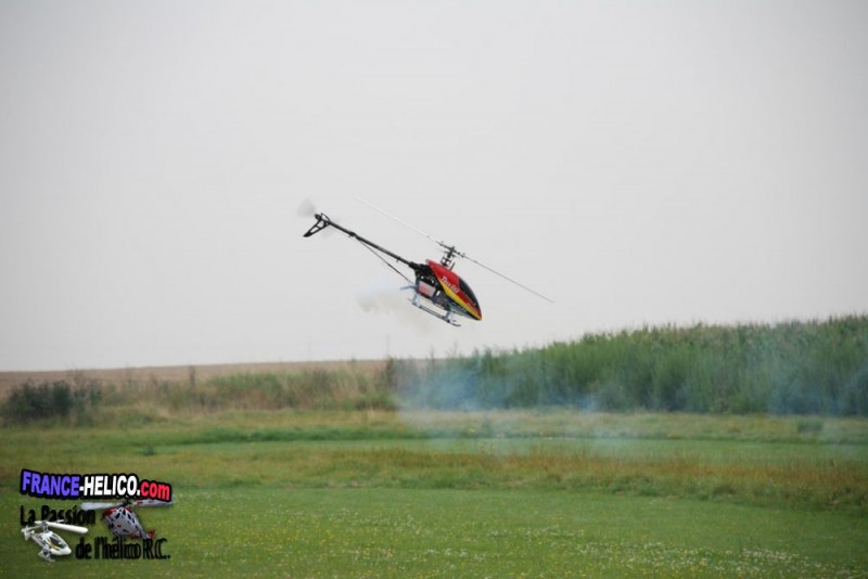 caliberman Trex 600 N pro 2