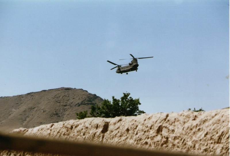 chinook  us