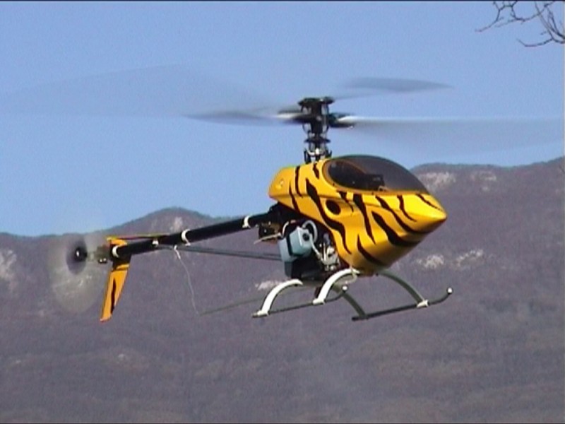 cricrii raptor 3