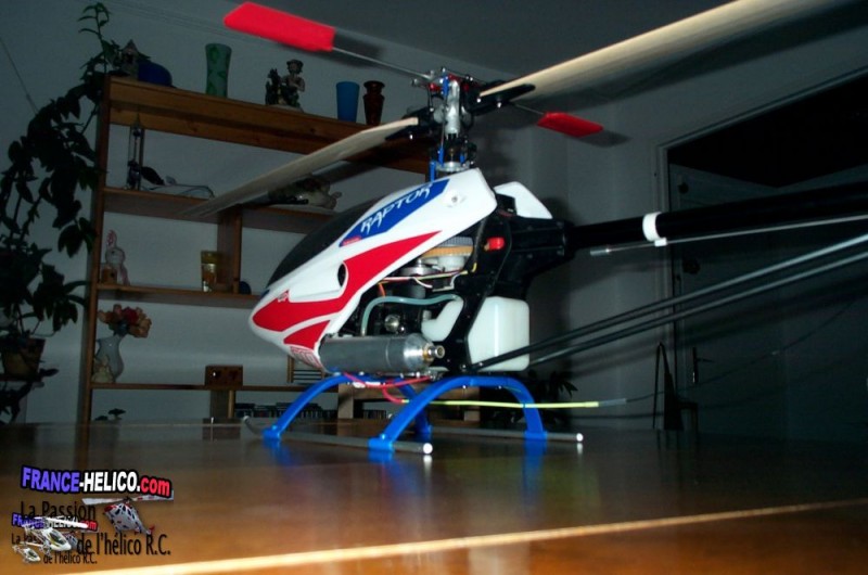 cupidon04 raptor16-01-08 002