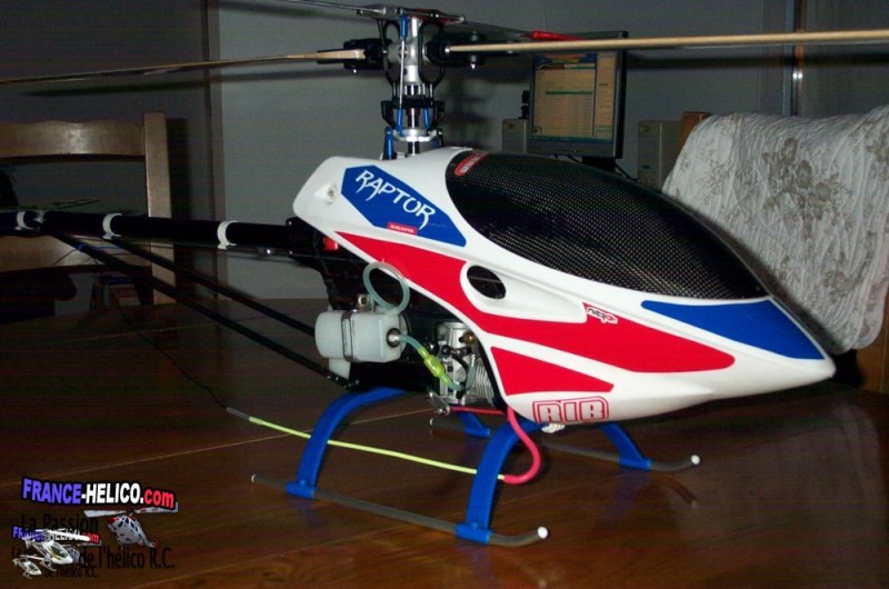 cupidon04 raptor16-01-08 003