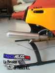 desailly 031107 1329~00