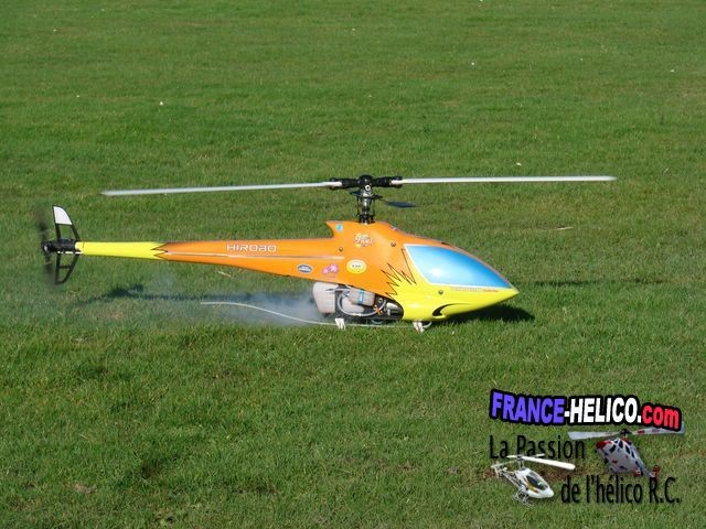 dragon76 DSC00340 [640x480]