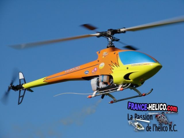 dragon76 DSC00350 [640x480]