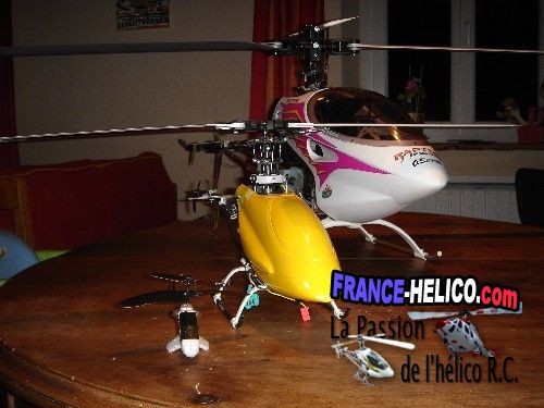 fredbr Photo 022