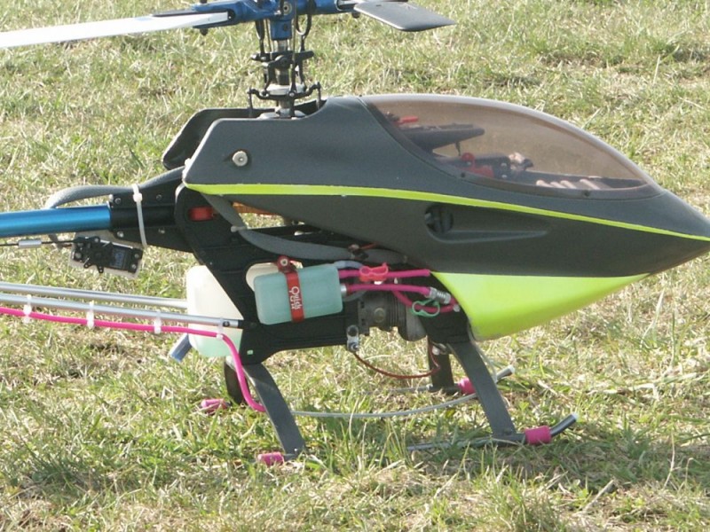 gugu raptor 002